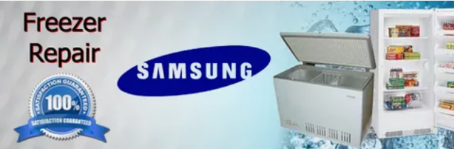 samsung freeezer service